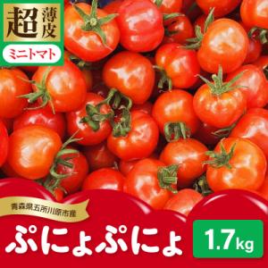 ふるさと納税 五所川原市 【2026年 先行受付】超薄皮 ミニトマト 約1.7kg 「ぷにょぷにょ」...