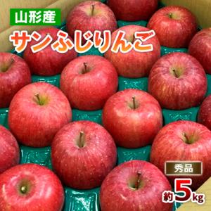 ふるさと納税 山形市 山形のサンふじりんご 秀品 約5kg(10〜25玉)  FZ18-211