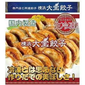 ふるさと納税 横浜市 横浜大宝餃子 もちもち肉...の詳細画像1