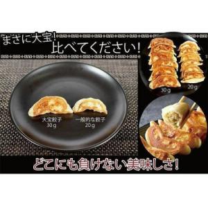 ふるさと納税 横浜市 横浜大宝餃子 もちもち肉...の詳細画像2