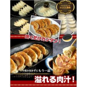 ふるさと納税 横浜市 横浜大宝餃子 もちもち肉...の詳細画像3