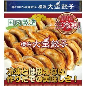 ふるさと納税 横浜市 横浜大宝餃子 もちもち国...の詳細画像1