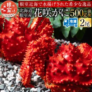 ふるさと納税 根室市 【北海道根室産】花咲がに500g前後×2尾 G-54002