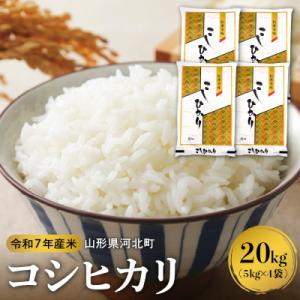 ふるさと納税 河北町 【令和7年産米】2026年2月上旬発送 コシヒカリ 20kg 山形県産【米COMEかほく協同組合】