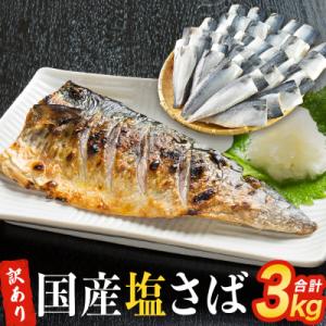 ふるさと納税 石巻市 さば 〈 訳あり 〉 国産 塩さば フィーレ 3kg 冷凍 さば 切身 フィレ...