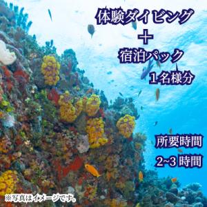 ふるさと納税 下関市 ダイビング 宿泊 体験 ビーチ スポーツ マリンスポーツ 宿泊 下関 山口 J...