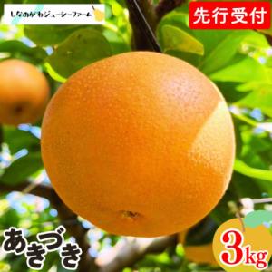 ふるさと納税 三条市 先行受付 和梨 あきづき 約3kg 令和8年度 しなのがわジューシーファーム 【010S486】