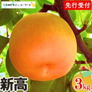 ふるさと納税 三条市 先行受付 和梨 新高 約3kg 令和8年度 しなのがわジューシーファーム 【0...
