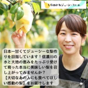 ふるさと納税 三条市 先行受付 和梨 新高 約...の詳細画像3