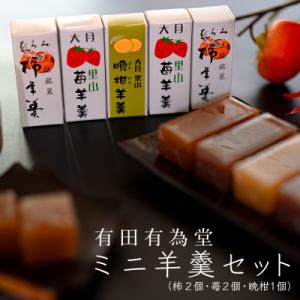 ふるさと納税 大月町 【大月の銘菓】ミニ羊羹セット(5本入)
