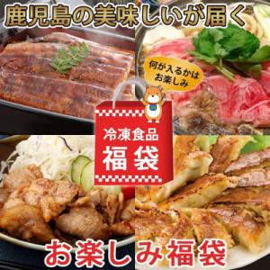 ふるさと納税 薩摩川内市 【お楽しみ福袋D】うなぎ1尾が必ず入る!6品以上 BS-044