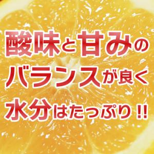 ふるさと納税 愛南町 訳あり みかん職人武田屋...の詳細画像1