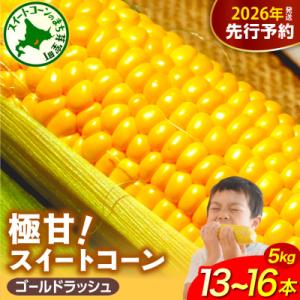 ふるさと納税 芽室町 【先行受付】北海道芽室町 ファームミリオン 極甘スイートコーン 5kg me016-011c-26