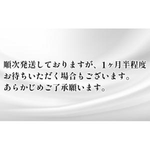 ふるさと納税 岩沼市 トイレットペーパーシング...の詳細画像1