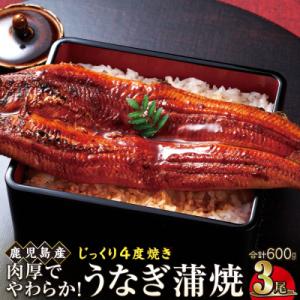 ふるさと納税 大崎町 うなぎ 蒲焼 200g×3...の商品画像