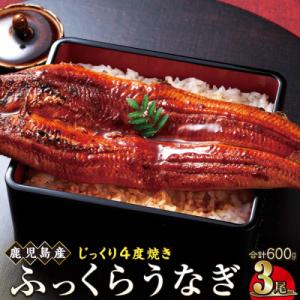 ふるさと納税 大崎町 うなぎ 蒲焼 200g×3尾【鹿児島産】地下水で育てた逸品鰻
