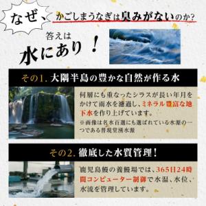 ふるさと納税 大崎町 うなぎ 蒲焼 200g×...の詳細画像1