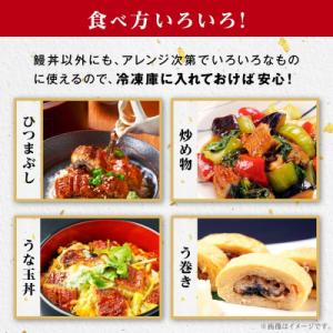 ふるさと納税 大崎町 うなぎ 蒲焼 200g×...の詳細画像3