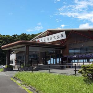 ふるさと納税 土佐清水市 姫かつおスティック ...の詳細画像3