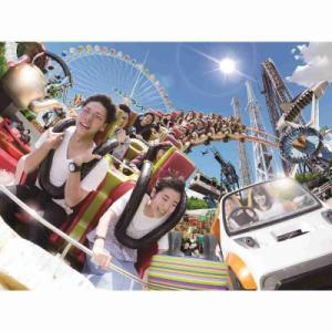 ふるさと納税 川崎市 よみうりランド ワンデーパス1枚【7月18日より価格改定】