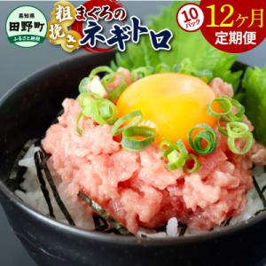 ふるさと納税 田野町 〜四国一小さなまち〜≪カネアリ水産≫まぐろのネギトロ 800g(80g×10パ...