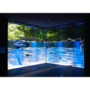 ふるさと納税 川崎市 カワスイ 川崎水族館ペアチケット　