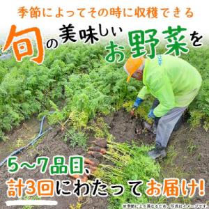 ふるさと納税 西予市 <せいよのうまいも...の詳細画像1