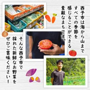 ふるさと納税 西予市 <せいよのうまいも...の詳細画像2