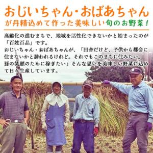 ふるさと納税 西予市 <せいよのうまいも...の詳細画像3