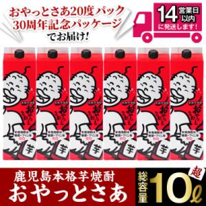 ふるさと納税 曽於市 おやっとさあ20度パック30周年記念パッケージ6本