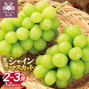ふるさと納税 甲府市 〈2026年度配送分〉至福の山梨県産シャインマスカット 2〜3房(1.2kg以...