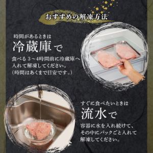 ふるさと納税 焼津市 天然南まぐろ 100%使...の詳細画像2