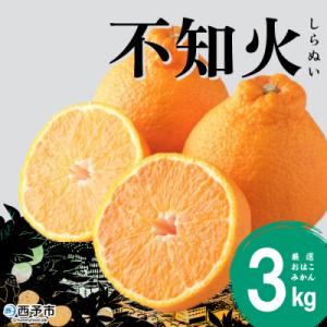 ふるさと納税 西予市 【先行受付】おはこやがつくる　おはこデコ(不知火)　3kg