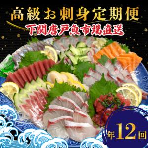 ふるさと納税 下関市 【定期便年12回】 唐戸市場直送 高級お刺身 各2人前 毎月発送 冷凍 真空 ...
