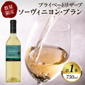 ふるさと納税 都農町 【数量限定】プライベートリザーブ ソーヴィニヨン・ブラン(計1本)_T014-...
