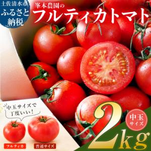 ふるさと納税 土佐清水市 【11月発送】トマト魂...の商品画像