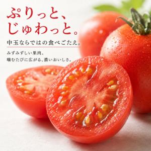 ふるさと納税 土佐清水市 【11月発送】トマト...の詳細画像2