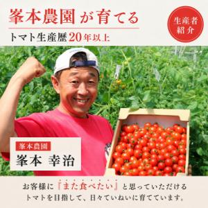 ふるさと納税 土佐清水市 【11月発送】トマト...の詳細画像3