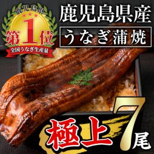 ふるさと納税 曽於市 無投薬!鹿児島県産うなぎ蒲焼セット <極上>(約160〜236g×7尾)タレ・山椒