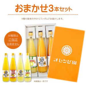 ふるさと納税 土佐清水市 オレンジ園の濃縮ジュ...の詳細画像2