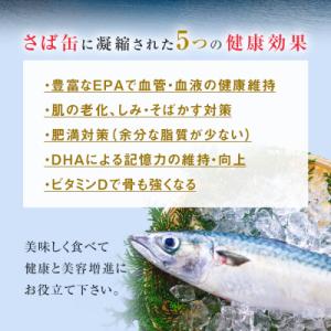 ふるさと納税 石巻市 【2月配送】缶詰 さば缶...の詳細画像3