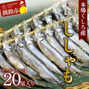 ふるさと納税 釧路市 本場くしろ産 ししゃもオス・メス20尾入り! 本ししゃも F4F-9163
