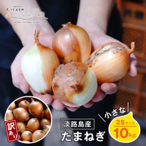 ふるさと納税 淡路市 【訳あり】小さな淡路島たまねぎ 2Sサイズ 10kg　ak04823