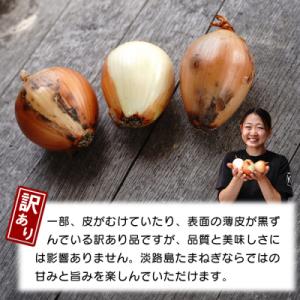 ふるさと納税 淡路市 【訳あり】小さな淡路島た...の詳細画像1