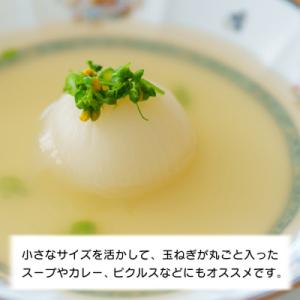 ふるさと納税 淡路市 【訳あり】小さな淡路島た...の詳細画像2