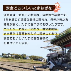 ふるさと納税 淡路市 【訳あり】小さな淡路島た...の詳細画像3