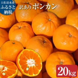 ふるさと納税 土佐清水市 【令和9年発送 訳あり...の商品画像