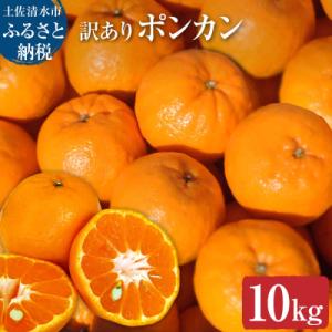 ふるさと納税 土佐清水市 【令和8年発送 訳あり】ぽんかん10kg(オレンジ園) デコポンの親 みか...
