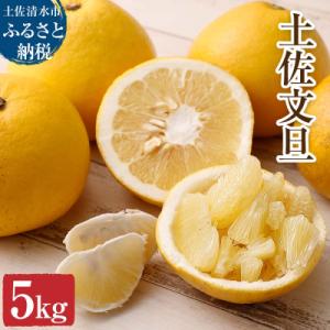 ふるさと納税 土佐清水市 【令和9年3月】オレンジ園の土佐文旦5kg 柑橘 フルーツ みかん ザボン...