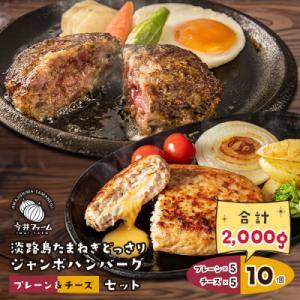 ふるさと納税 淡路市 淡路島たまねぎどっさりジャンボハンバーグ プレーン&amp;チーズセット 200g×1...